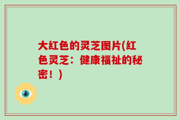 大红色的灵芝图片(红色灵芝:健康福祉的秘密!)-第1张图片-灵芝之家 大红色的灵芝图片(红色灵芝:健康福祉的秘密!)-第1张图片-灵芝之家