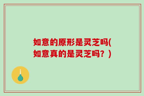 如意的原形是灵芝吗(如意真的是灵芝吗?)-第1张图片-灵芝之家 如意的原形是灵芝吗(如意真的是灵芝吗?)-第1张图片-灵芝之家