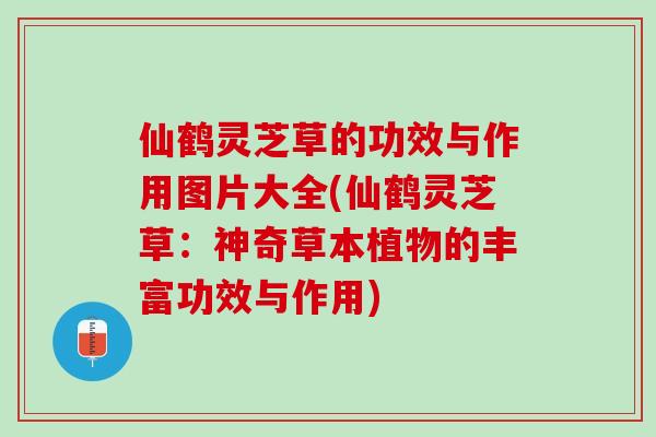 仙鹤灵芝草的功效与作用图片大全(仙鹤灵芝草:神奇草本植物的丰富功效与作用)-第1张图片-灵芝之家 仙鹤灵芝草的功效与作用图片大全(仙鹤灵芝草:神奇草本植物的丰富功效与作用)-第1张图片-灵芝之家