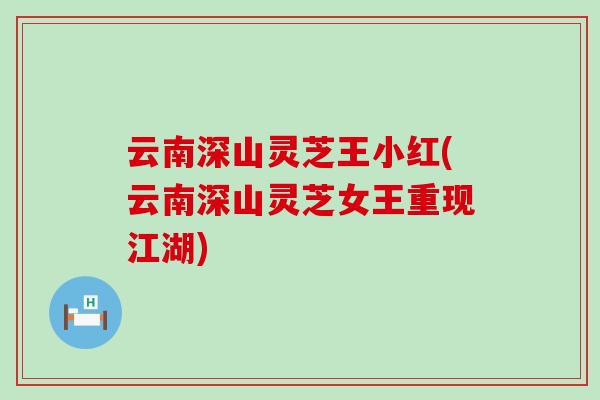 云南深山灵芝王小红(云南深山灵芝女王重现江湖)-第1张图片-灵芝之家 云南深山灵芝王小红(云南深山灵芝女王重现江湖)-第1张图片-灵芝之家