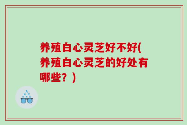 养殖白心灵芝好不好(养殖白心灵芝的好处有哪些?)-第1张图片-灵芝之家 养殖白心灵芝好不好(养殖白心灵芝的好处有哪些?)-第1张图片-灵芝之家