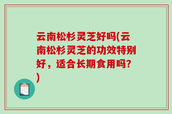 云南松杉灵芝好吗(云南松杉灵芝的功效特别好，适合长期食用吗？)-第1张图片-灵芝之家