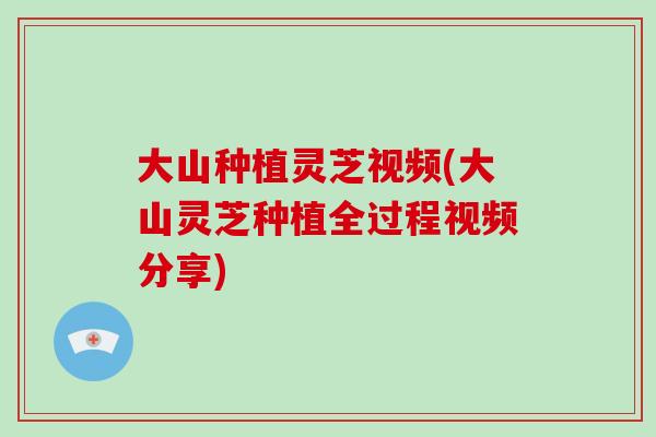 大山种植灵芝视频(大山灵芝种植全过程视频分享)-第1张图片-灵芝之家 大山种植灵芝视频(大山灵芝种植全过程视频分享)-第1张图片-灵芝之家