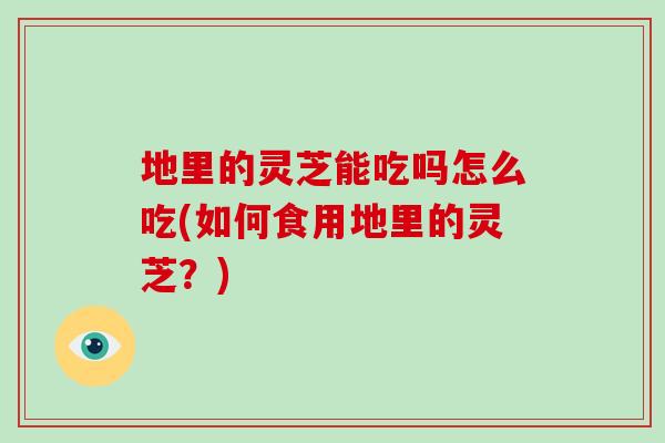 地里的灵芝能吃吗怎么吃(如何食用地里的灵芝?)-第1张图片-灵芝之家 地里的灵芝能吃吗怎么吃(如何食用地里的灵芝?)-第1张图片-灵芝之家