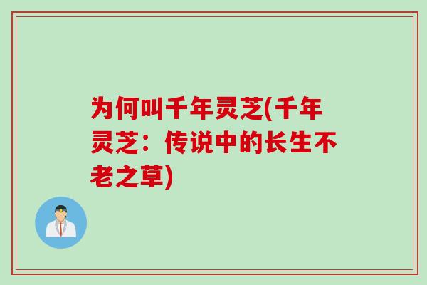 为何叫千年灵芝(千年灵芝：传说中的长生不老之草)-第1张图片-灵芝之家