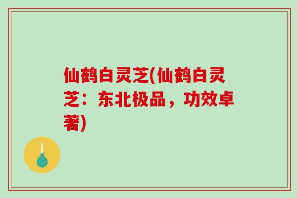 仙鹤白灵芝(仙鹤白灵芝:东北极品,功效卓著)-第1张图片-灵芝之家 仙鹤白灵芝(仙鹤白灵芝:东北极品,功效卓著)-第1张图片-灵芝之家