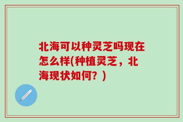 北海可以种灵芝吗现在怎么样(种植灵芝，北海现状如何？)-第1张图片-灵芝之家