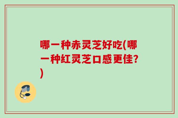 哪一种赤灵芝好吃(哪一种红灵芝口感更佳？)-第1张图片-灵芝之家