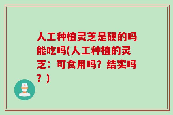 人工种植灵芝是硬的吗能吃吗(人工种植的灵芝:可食用吗?结实吗?)-第1张图片-灵芝之家 人工种植灵芝是硬的吗能吃吗(人工种植的灵芝:可食用吗?结实吗?)-第1张图片-灵芝之家