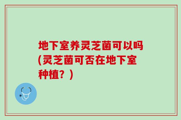 地下室养灵芝菌可以吗(灵芝菌可否在地下室种植?)-第1张图片-灵芝之家 地下室养灵芝菌可以吗(灵芝菌可否在地下室种植?)-第1张图片-灵芝之家