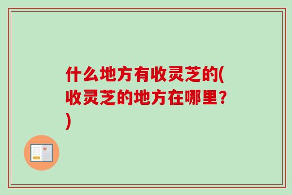 什么地方有收灵芝的(收灵芝的地方在哪里?)-第1张图片-灵芝之家 什么地方有收灵芝的(收灵芝的地方在哪里?)-第1张图片-灵芝之家