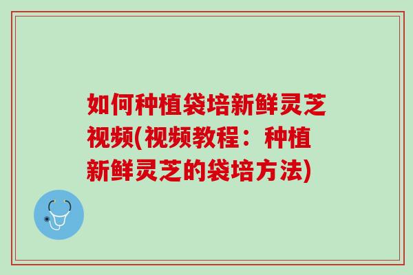 如何种植袋培新鲜灵芝视频(视频教程：种植新鲜灵芝的袋培方法)-第1张图片-灵芝之家
