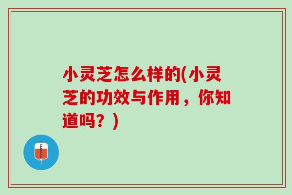 小灵芝怎么样的(小灵芝的功效与作用,你知道吗?)-第1张图片-灵芝之家 小灵芝怎么样的(小灵芝的功效与作用,你知道吗?)-第1张图片-灵芝之家