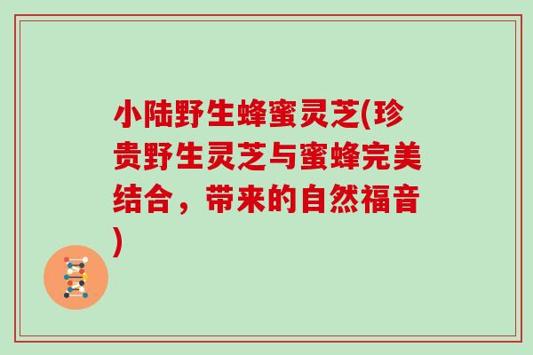 小陆野生蜂蜜灵芝(珍贵野生灵芝与蜜蜂完美结合,带来的自然福音)-第1张图片-灵芝之家 小陆野生蜂蜜灵芝(珍贵野生灵芝与蜜蜂完美结合,带来的自然福音)-第1张图片-灵芝之家