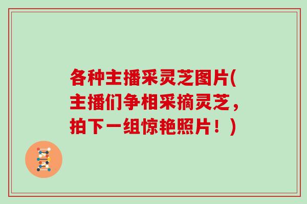各种主播采灵芝图片(主播们争相采摘灵芝，拍下一组惊艳照片！)-第1张图片-灵芝之家