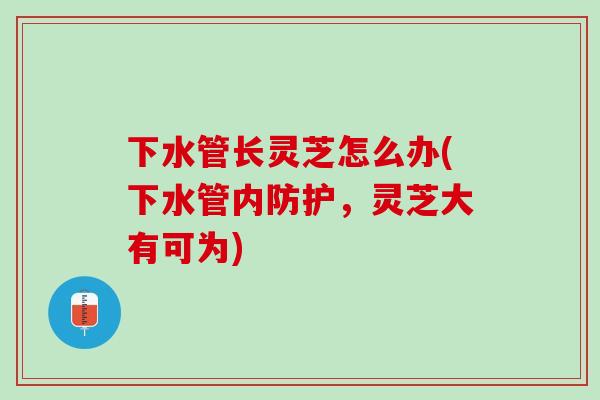 下水管长灵芝怎么办(下水管内防护,灵芝大有可为)-第1张图片-灵芝之家 下水管长灵芝怎么办(下水管内防护,灵芝大有可为)-第1张图片-灵芝之家