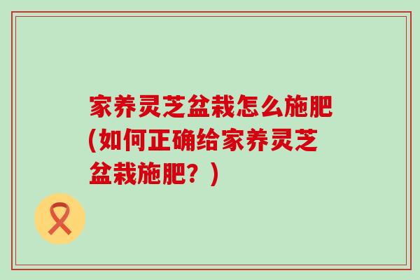 家养灵芝盆栽怎么施肥(如何正确给家养灵芝盆栽施肥?)-第1张图片-灵芝之家 家养灵芝盆栽怎么施肥(如何正确给家养灵芝盆栽施肥?)-第1张图片-灵芝之家