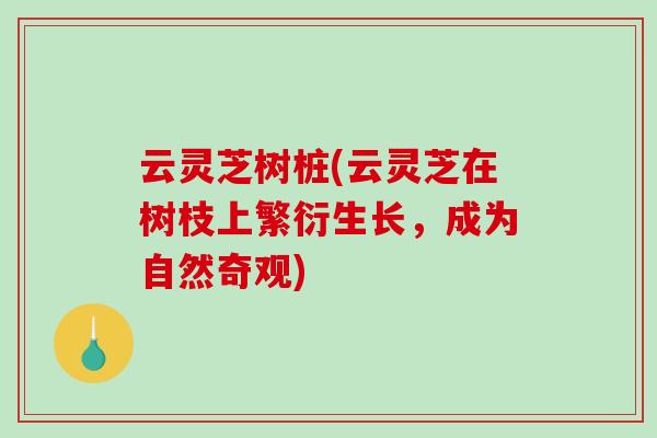 云灵芝树桩(云灵芝在树枝上繁衍生长,成为自然奇观)-第1张图片-灵芝之家 云灵芝树桩(云灵芝在树枝上繁衍生长,成为自然奇观)-第1张图片-灵芝之家