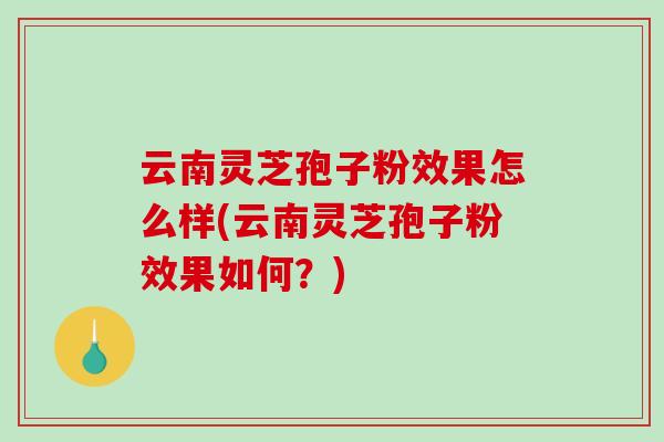 云南灵芝孢子粉效果怎么样(云南灵芝孢子粉效果如何？)-第1张图片-灵芝之家