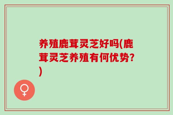 养殖鹿茸灵芝好吗(鹿茸灵芝养殖有何优势?)-第1张图片-灵芝之家 养殖鹿茸灵芝好吗(鹿茸灵芝养殖有何优势?)-第1张图片-灵芝之家