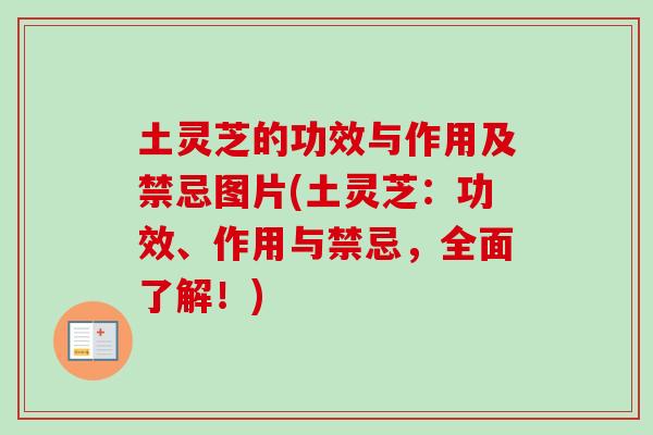 土灵芝的功效与作用及禁忌图片(土灵芝:功效、作用与禁忌,全面了解!)-第1张图片-灵芝之家 土灵芝的功效与作用及禁忌图片(土灵芝:功效、作用与禁忌,全面了解!)-第1张图片-灵芝之家