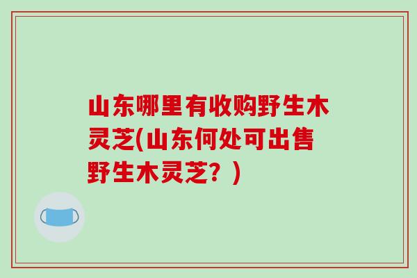 山东哪里有收购野生木灵芝(山东何处可出售野生木灵芝?)-第1张图片-灵芝之家 山东哪里有收购野生木灵芝(山东何处可出售野生木灵芝?)-第1张图片-灵芝之家