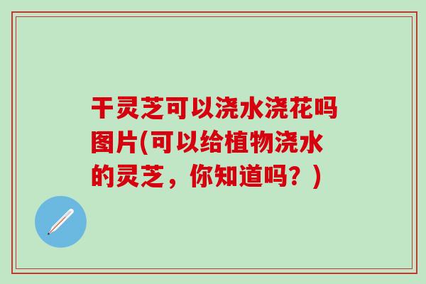 干灵芝可以浇水浇花吗图片(可以给植物浇水的灵芝，你知道吗？)-第1张图片-灵芝之家