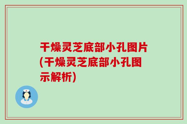 干燥灵芝底部小孔图片(干燥灵芝底部小孔图示解析)-第1张图片-灵芝之家
