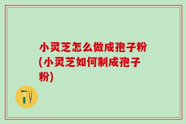 小灵芝怎么做成孢子粉(小灵芝如何制成孢子粉)-第1张图片-灵芝之家 小灵芝怎么做成孢子粉(小灵芝如何制成孢子粉)-第1张图片-灵芝之家