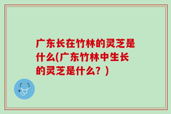 广东长在竹林的灵芝是什么(广东竹林中生长的灵芝是什么？)-第1张图片-灵芝之家