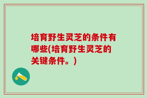 培育野生灵芝的条件有哪些(培育野生灵芝的关键条件。)-第1张图片-灵芝之家 培育野生灵芝的条件有哪些(培育野生灵芝的关键条件。)-第1张图片-灵芝之家