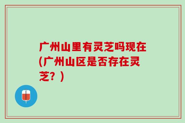 广州山里有灵芝吗现在(广州山区是否存在灵芝?)-第1张图片-灵芝之家 广州山里有灵芝吗现在(广州山区是否存在灵芝?)-第1张图片-灵芝之家