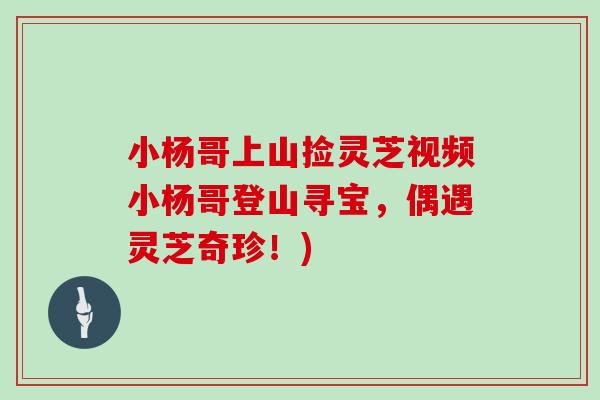 小杨哥上山捡灵芝视频小杨哥登山寻宝,偶遇灵芝奇珍!)-第1张图片-灵芝之家 小杨哥上山捡灵芝视频小杨哥登山寻宝,偶遇灵芝奇珍!)-第1张图片-灵芝之家