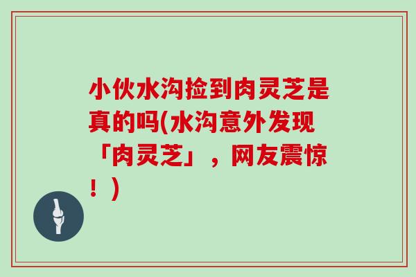 小伙水沟捡到肉灵芝是真的吗(水沟意外发现「肉灵芝」,网友震惊!)-第1张图片-灵芝之家 小伙水沟捡到肉灵芝是真的吗(水沟意外发现「肉灵芝」,网友震惊!)-第1张图片-灵芝之家