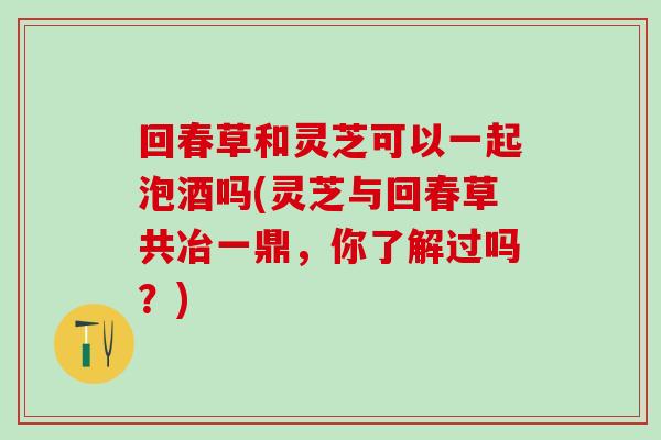 回春草和灵芝可以一起泡酒吗(灵芝与回春草共冶一鼎,你了解过吗?)-第1张图片-灵芝之家 回春草和灵芝可以一起泡酒吗(灵芝与回春草共冶一鼎,你了解过吗?)-第1张图片-灵芝之家