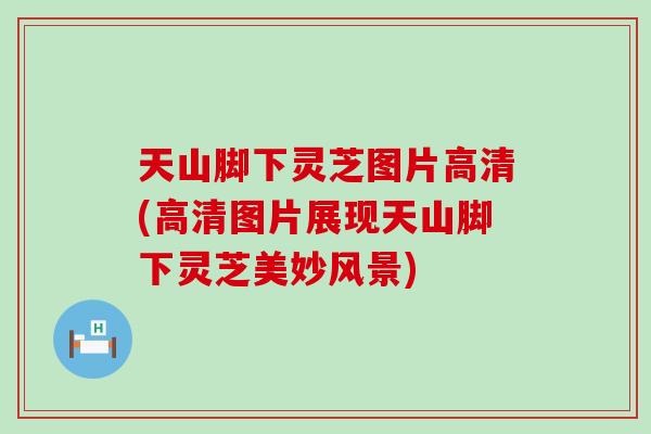 天山脚下灵芝图片高清(高清图片展现天山脚下灵芝美妙风景)-第1张图片-灵芝之家 天山脚下灵芝图片高清(高清图片展现天山脚下灵芝美妙风景)-第1张图片-灵芝之家