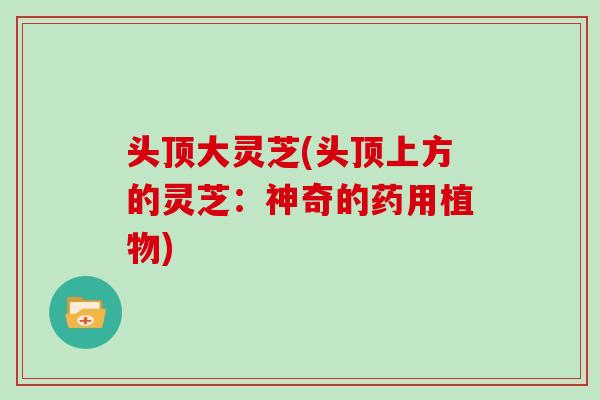 头顶大灵芝(头顶上方的灵芝:神奇的药用植物)-第1张图片-灵芝之家 头顶大灵芝(头顶上方的灵芝:神奇的药用植物)-第1张图片-灵芝之家