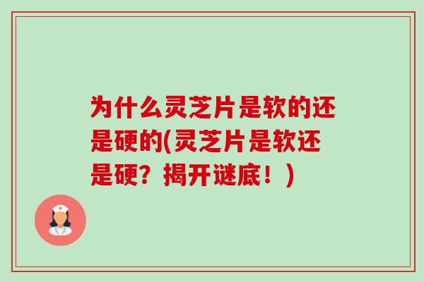 为什么灵芝片是软的还是硬的(灵芝片是软还是硬？揭开谜底！)-第1张图片-灵芝之家