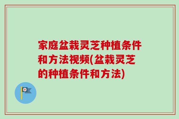 家庭盆栽灵芝种植条件和方法视频(盆栽灵芝的种植条件和方法)-第1张图片-灵芝之家 家庭盆栽灵芝种植条件和方法视频(盆栽灵芝的种植条件和方法)-第1张图片-灵芝之家
