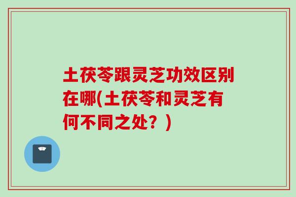 土茯苓跟灵芝功效区别在哪(土茯苓和灵芝有何不同之处?)-第1张图片-灵芝之家 土茯苓跟灵芝功效区别在哪(土茯苓和灵芝有何不同之处?)-第1张图片-灵芝之家