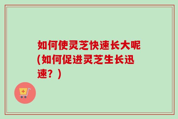 如何使灵芝快速长大呢(如何促进灵芝生长迅速?)-第1张图片-灵芝之家 如何使灵芝快速长大呢(如何促进灵芝生长迅速?)-第1张图片-灵芝之家