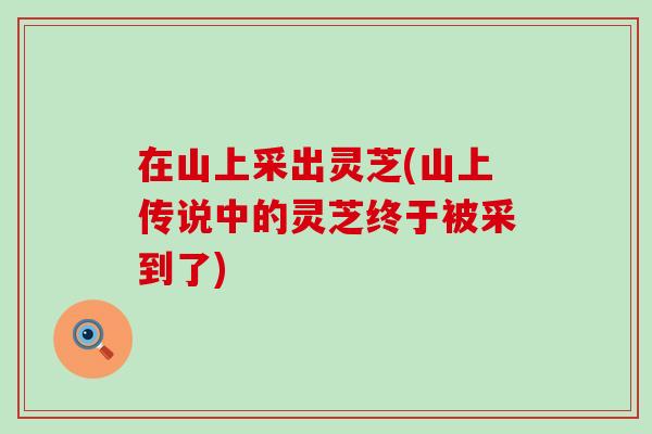 在山上采出灵芝(山上传说中的灵芝终于被采到了)-第1张图片-灵芝之家 在山上采出灵芝(山上传说中的灵芝终于被采到了)-第1张图片-灵芝之家