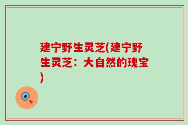 建宁野生灵芝(建宁野生灵芝:大自然的瑰宝)-第1张图片-灵芝之家 建宁野生灵芝(建宁野生灵芝:大自然的瑰宝)-第1张图片-灵芝之家