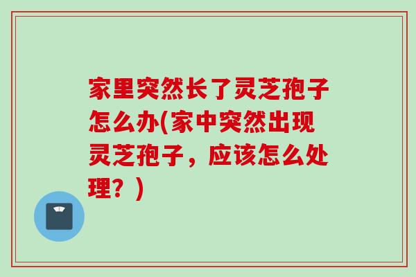 家里突然长了灵芝孢子怎么办(家中突然出现灵芝孢子,应该怎么处理?)-第1张图片-灵芝之家 家里突然长了灵芝孢子怎么办(家中突然出现灵芝孢子,应该怎么处理?)-第1张图片-灵芝之家