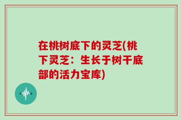 在桃树底下的灵芝(桃下灵芝:生长于树干底部的活力宝库)-第1张图片-灵芝之家 在桃树底下的灵芝(桃下灵芝:生长于树干底部的活力宝库)-第1张图片-灵芝之家