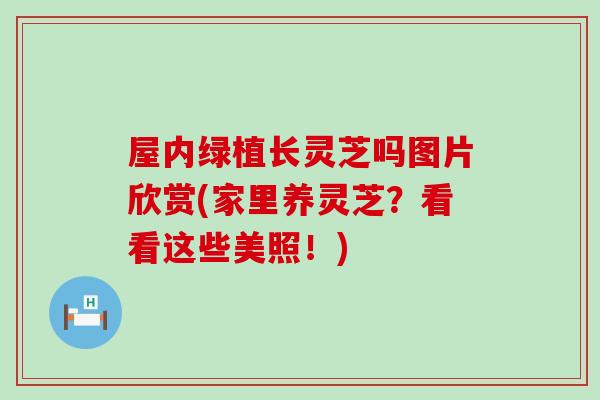 屋内绿植长灵芝吗图片欣赏(家里养灵芝？看看这些美照！)-第1张图片-灵芝之家