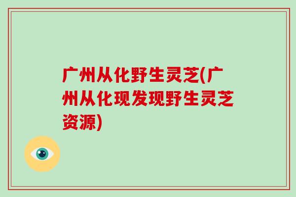 广州从化野生灵芝(广州从化现发现野生灵芝资源)-第1张图片-灵芝之家 广州从化野生灵芝(广州从化现发现野生灵芝资源)-第1张图片-灵芝之家