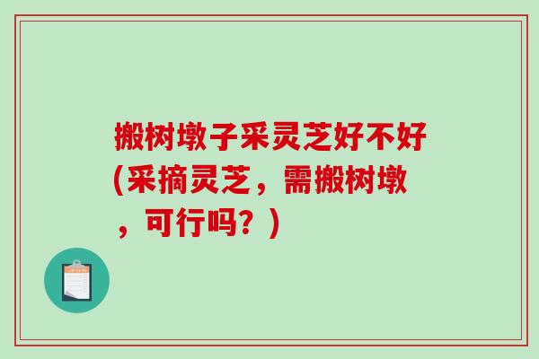搬树墩子采灵芝好不好(采摘灵芝,需搬树墩,可行吗?)-第1张图片-灵芝之家 搬树墩子采灵芝好不好(采摘灵芝,需搬树墩,可行吗?)-第1张图片-灵芝之家