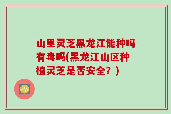 山里灵芝黑龙江能种吗有毒吗(黑龙江山区种植灵芝是否安全？)-第1张图片-灵芝之家