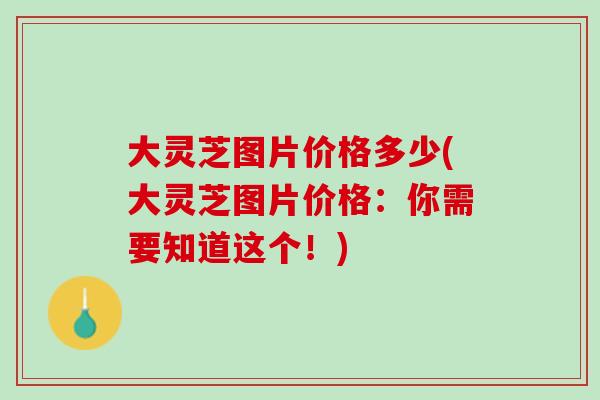 大灵芝图片价格多少(大灵芝图片价格:你需要知道这个!)-第1张图片-灵芝之家 大灵芝图片价格多少(大灵芝图片价格:你需要知道这个!)-第1张图片-灵芝之家